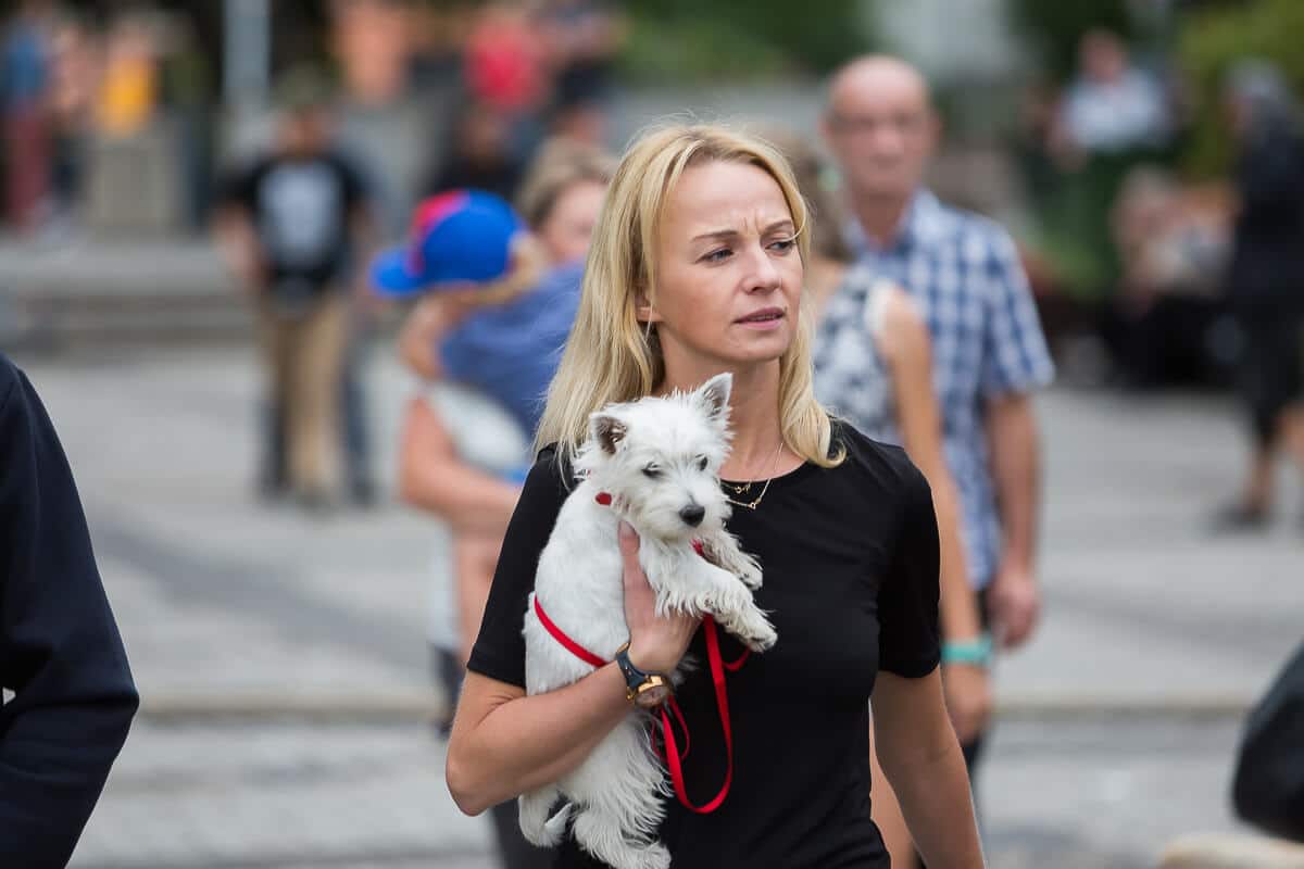 Food Truck Fest vol. 6, czyli złap głodomora