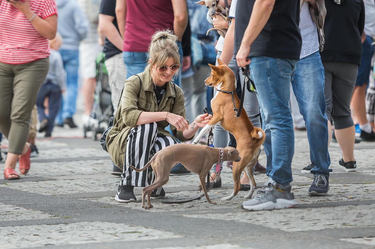 Food Truck Fest vol. 6, czyli złap głodomora