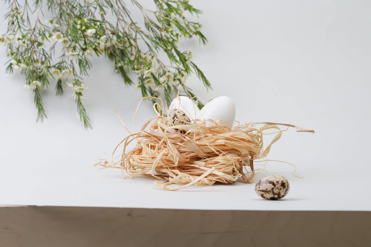 Jak wyróżnić się na święta w social mediach?