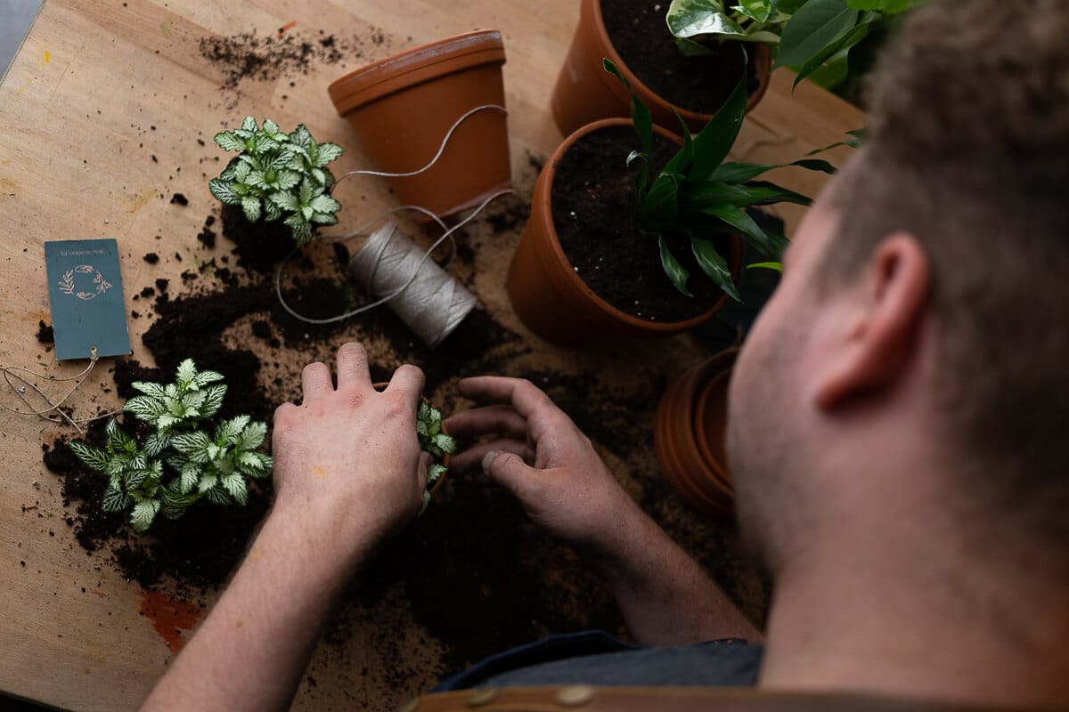 Wili Wianki – branding, kwiaty, Wrocław