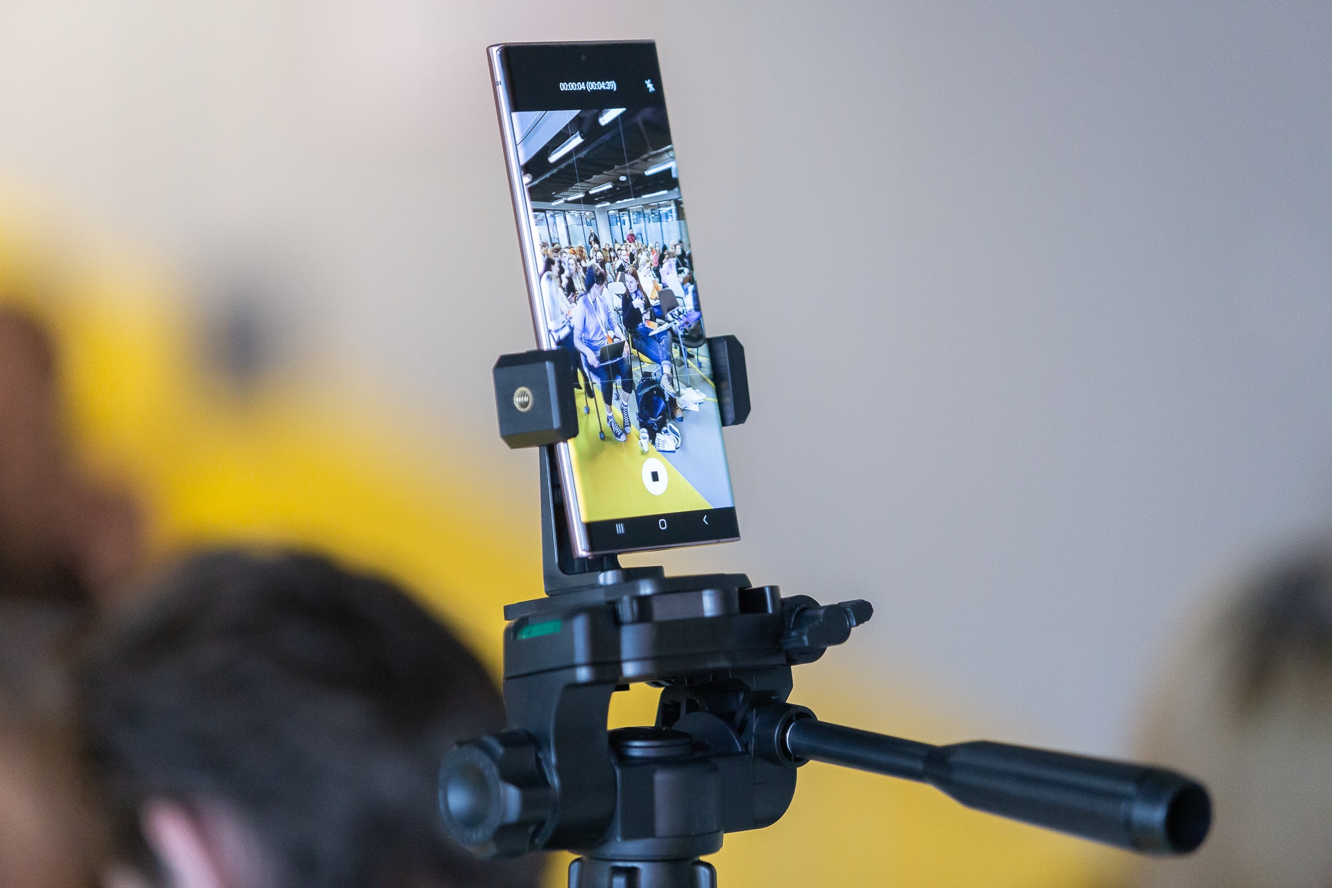 Krótkie formy rządzą